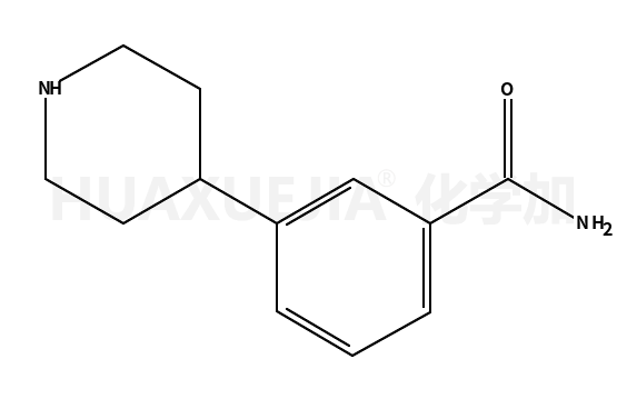 3-piperidin-4-ylbenzamide