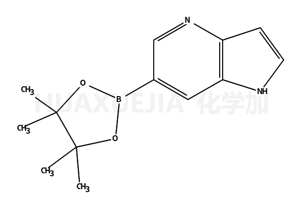 6-(4,4,5,5-四甲基-1,3,2-二氧硼烷-2-基)-1H-吡咯并[3,2-b]吡啶