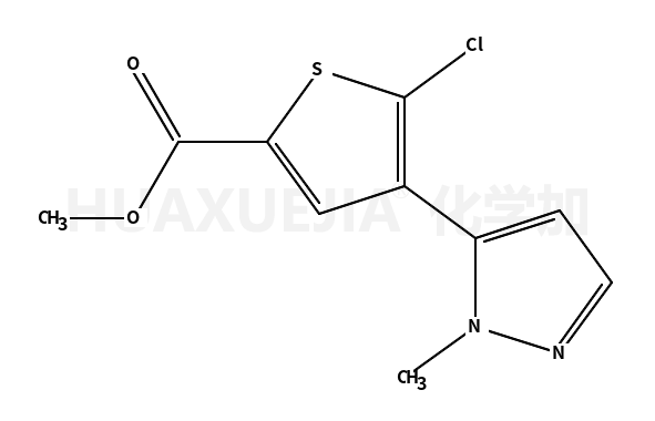 methyl 5-chloro-4-(1-methylpyrazol-5-yl)-2-thiophenecarboxylate