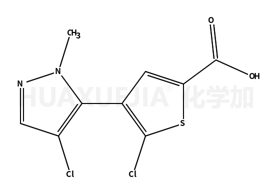 5-氯-4-(4-氯-1-甲基-1H-吡唑-5-基)噻吩-2-羧酸