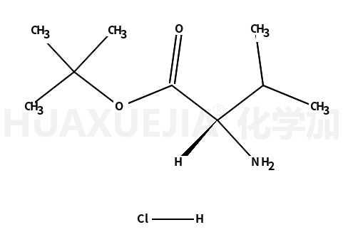D-缬氨酸叔丁基盐酸盐