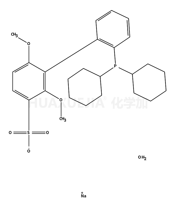 2'-二环己基膦基-2,6-二甲氧基-1,1'-联苯基-3-磺酸钠水合物