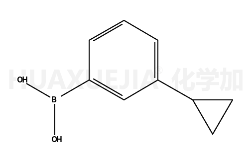 B-(3-环丙基苯基)硼酸