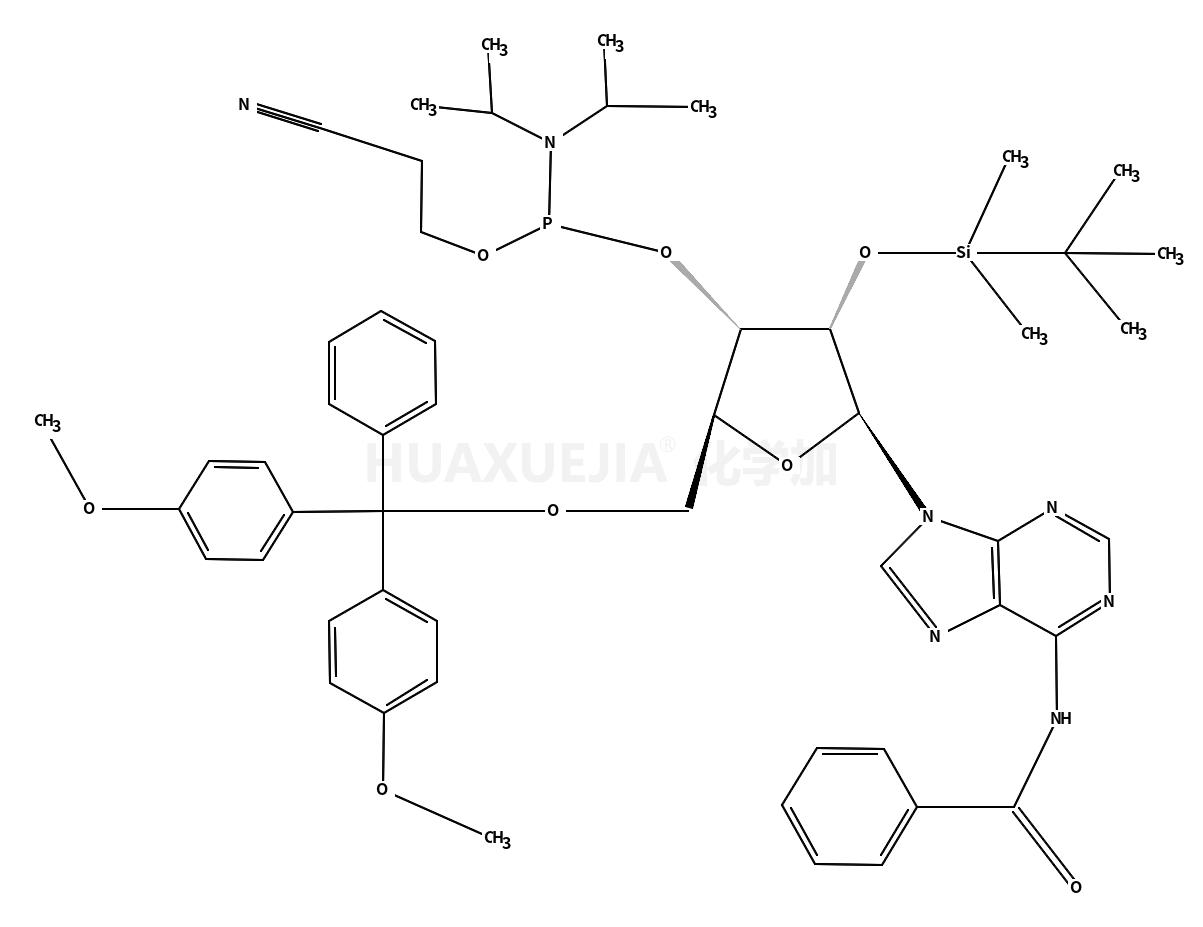 N-苯甲酰基-5'-O-(4,4-二甲氧基三苯甲基)-2'-O-[(叔丁基)二甲基硅基]腺苷-3'-(2-氰基乙基-N,N-二异丙基)亚磷酰胺