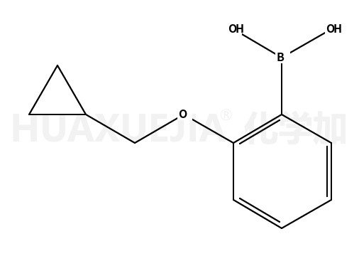 2-(环丙基甲氧基)苯硼酸