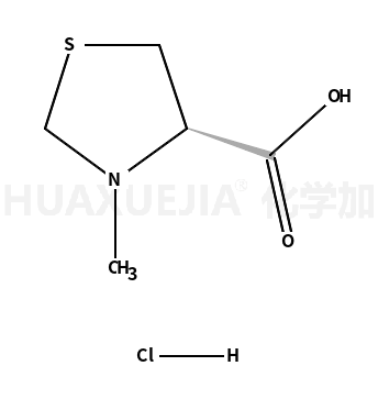 3-甲基噻唑烷-4-羧酸盐酸盐