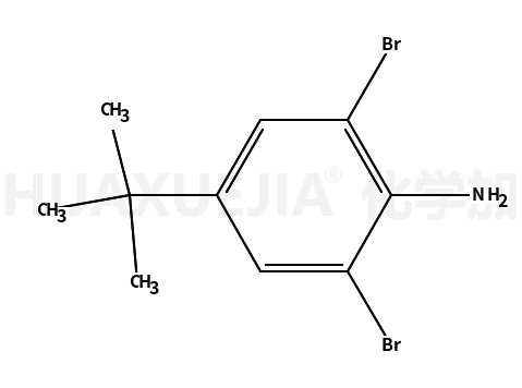 2,6-二溴-4-叔丁基苯胺