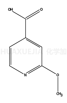 2-甲氧基-4-吡啶甲酸