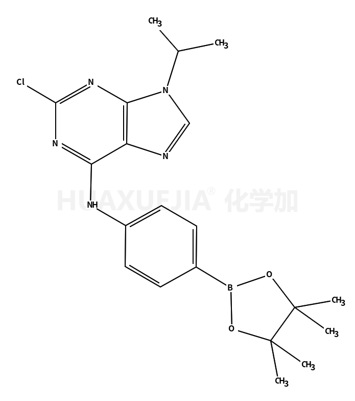 2-氯-9-(1-甲基乙基)-N-[4-(4,4,5,5-四甲基-1,3,2-二噁硼烷-2-基)苯基]-9H-嘌呤-6-胺