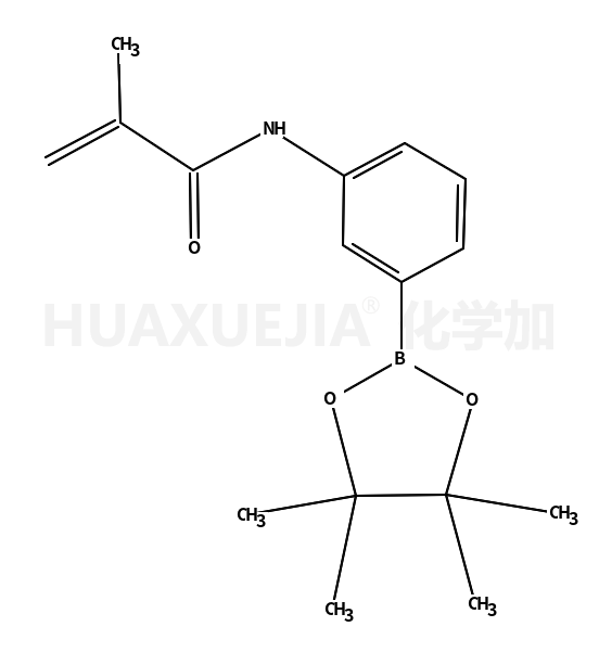 N-(3-(4,4,5,5-tetramethyl-1,3,2-dioxaborolan-2-yl)phenyl)methacrylamide