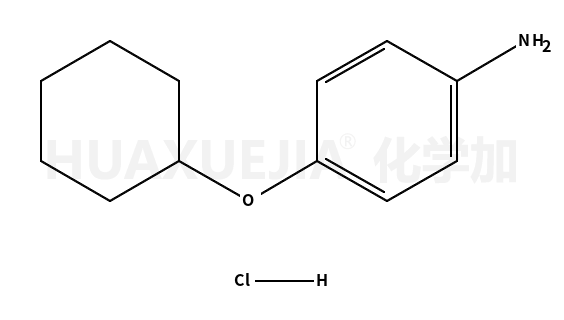 4-(环己氧基)苯胺盐酸盐