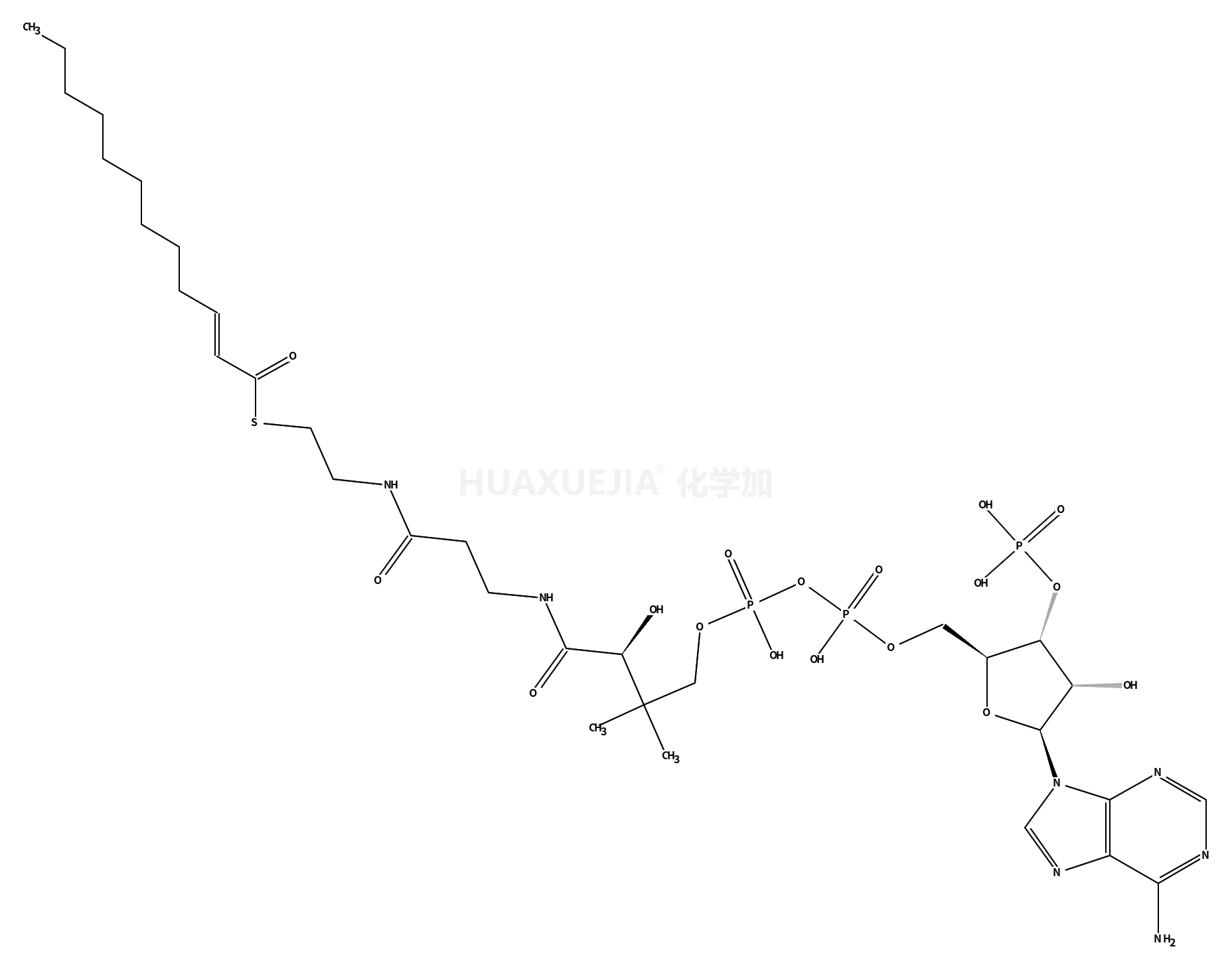 2-反-十二烯酰基-Co A