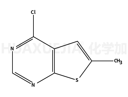 4-氯-6-甲基噻吩[2,3-D]嘧啶