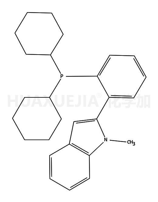 2-[2-(二环己基膦基)苯基] -N -甲基吲哚