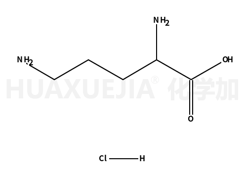 (±)-2,5-二氨基戊酸 单盐酸盐