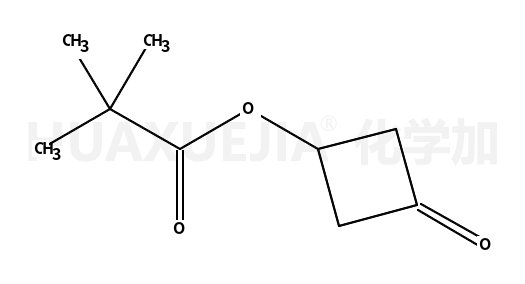 3-氧代环丁基三甲基乙酸盐
