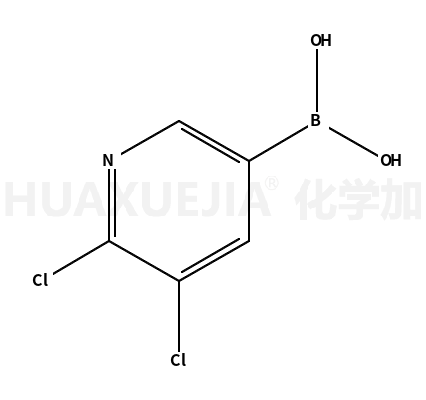 2,3-二氯吡啶-5-硼酸