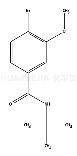 N-t-丁基 4-溴-3-甲氧基苯甲酰胺