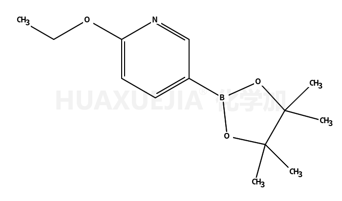 2-乙氧基-5-(4,4,5,5-四甲基-1,3,2-二杂氧戊硼烷-2-基)吡啶