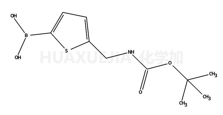 5-(BOC-氨基甲基)噻吩-2-硼酸