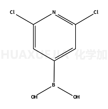 2,6-二氯吡啶-4-硼酸