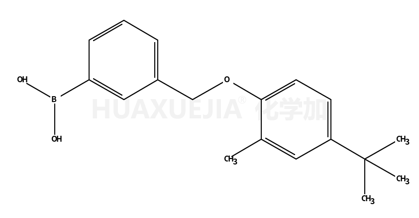 3-[(4-叔丁基-2-甲基苯氧基)甲基]苯硼酸