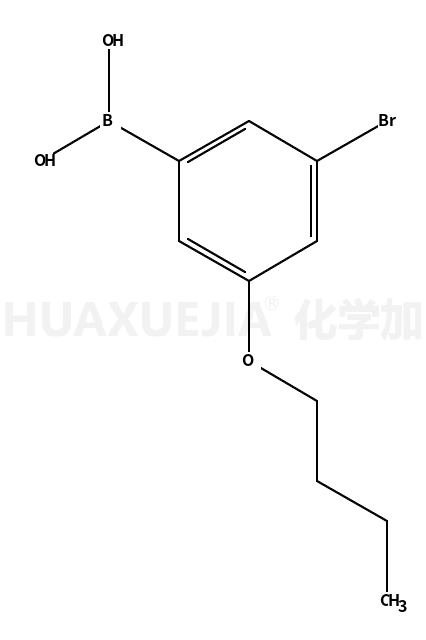 3-溴-5-丁氧基苯硼酸