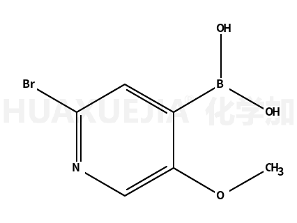 2-溴-5-甲氧基吡啶-4-硼酸