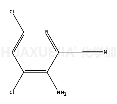 3-氨基-4,6-二氯吡啶啉