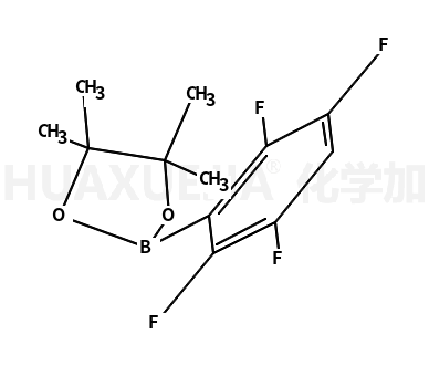 4,4,5,5-tetramethyl-2-(2,3,5,6-tetrafluorophenyl)-1,3,2-dioxaborolane