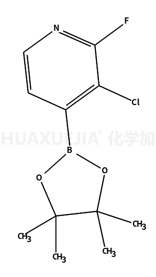 3-氯-2-氟-4-(4,4,5,5-四甲基-1,3,2-二氧硼烷)-吡啶