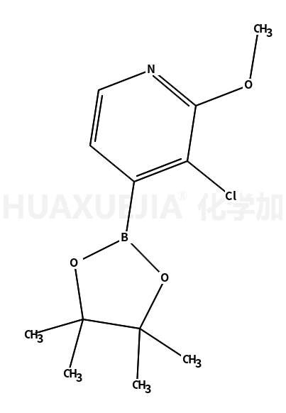 3-氯-2-甲氧基吡啶-4-硼酸频哪酯