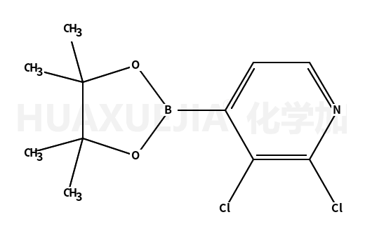 2,3-二氯-4-(4,4,5,5-四甲基-1,3,2-二氧杂环戊硼烷-2-基)吡啶