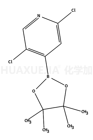 2,5-二氯吡啶-4-硼酸频哪酯
