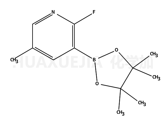 2-氟-5-甲基-3-(4,4,5,5-四甲基-1,3,2-二氧硼烷)-吡啶