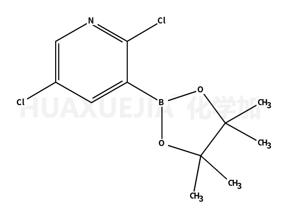 2,5-二氯吡啶-3-硼酸频哪酯