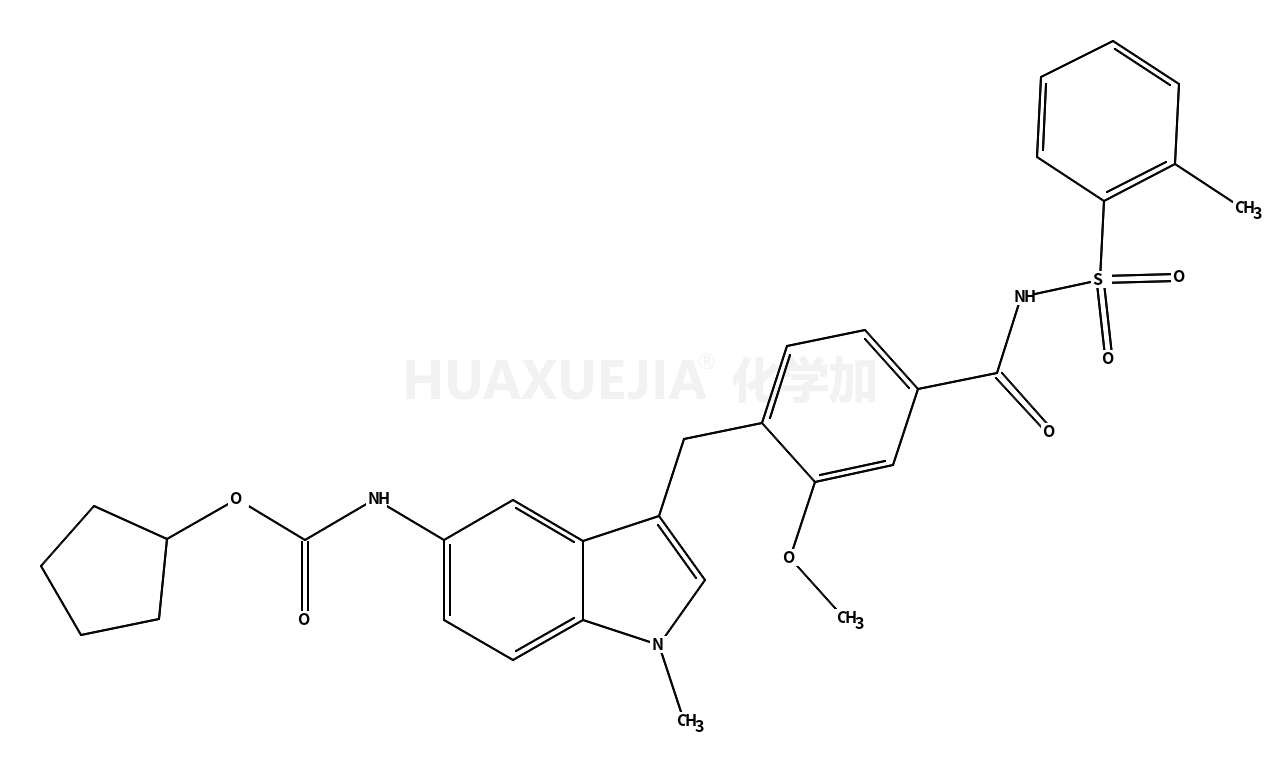 扎鲁斯特