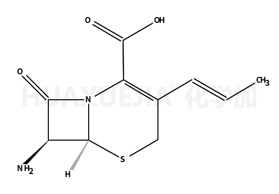 (6R,7R)-7-amino-3-[(E)-1-propen-1-yl]-3-cephem-4-carboxylic acid