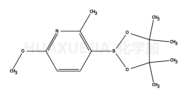 6-甲氧基-2-甲基-3-(4,4,5,5-四甲基-[1,3,2] 二噁硼烷-2-基)-吡啶