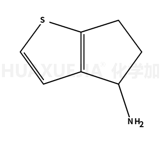 5,6-二氢-4H-环戊并[b]噻吩-4-胺