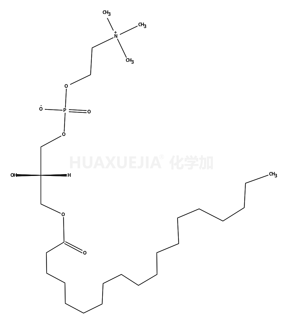 1-nonadecanoyl-2-hydroxy-sn-glycero-3-phosphocholine