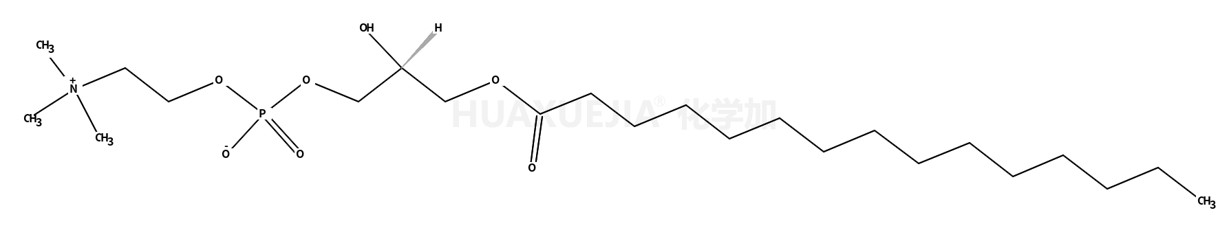 1-pentadecanoyl-2-hydroxy-sn-glycero-3-phosphocholine