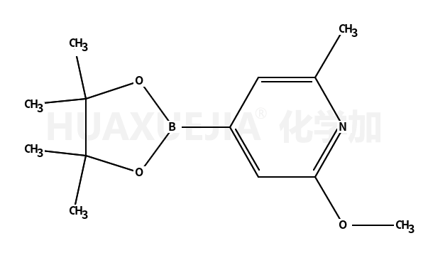 6-甲氧基-2-甲基吡啶-4-硼酸频那醇酯
