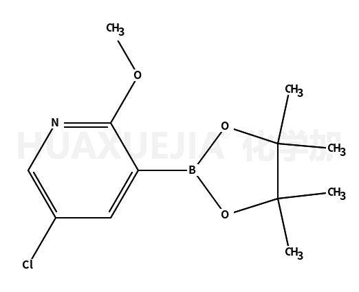 5-氯-2-甲氧基-3-(4,4,5,5-四甲基-1,3,2-二噁硼烷-2-基)吡啶