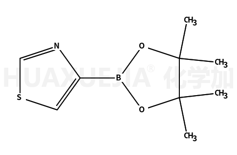 噻唑-4-硼酸频那醇酯