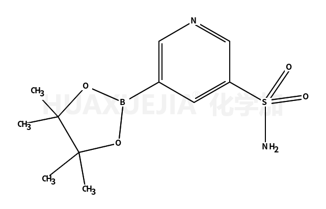 5-(4,4,5,5-四甲基-1,3,2-二噁硼烷-2-基)-3-吡啶磺酰胺