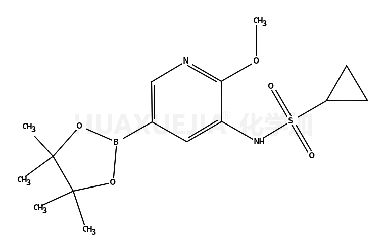 N-[2-甲氧基-5-(4,4,5,5-四甲基-1,3,2-二噁硼烷-2-基)-3-吡啶]-环丙烷磺酰胺