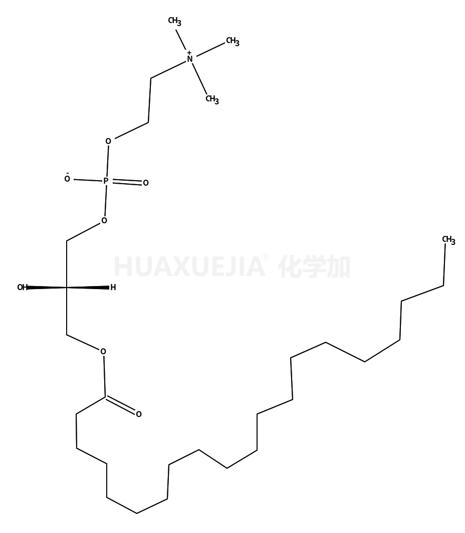 1-arachidoyl-2-hydroxy-sn-glycero-3-phosphocholine