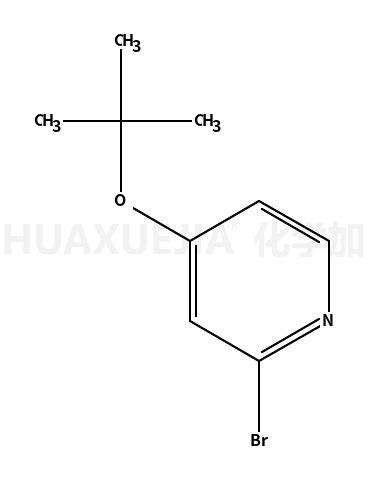 2-bromo-4-tert-butoxypyridine
