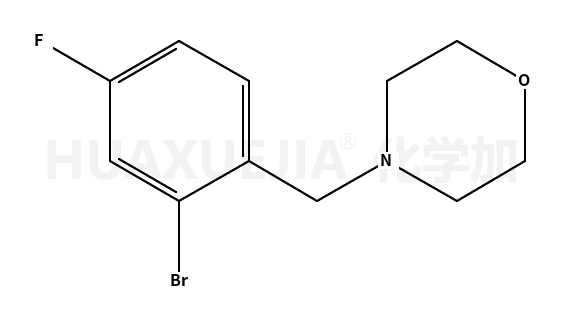 4-(2-溴-4-氟苯甲基)吗啉